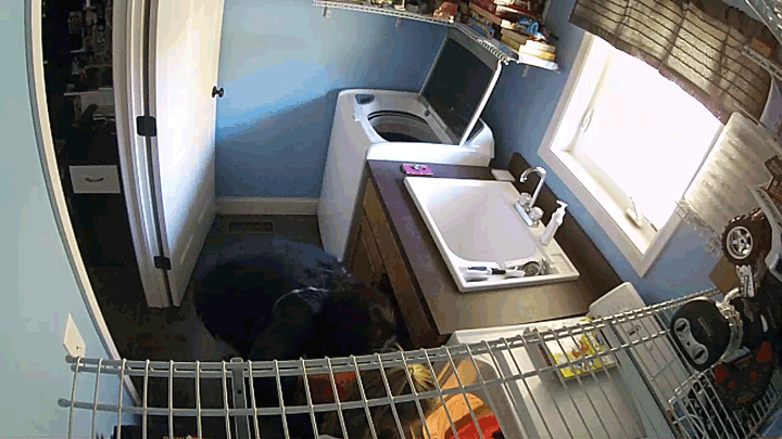 washing.gif