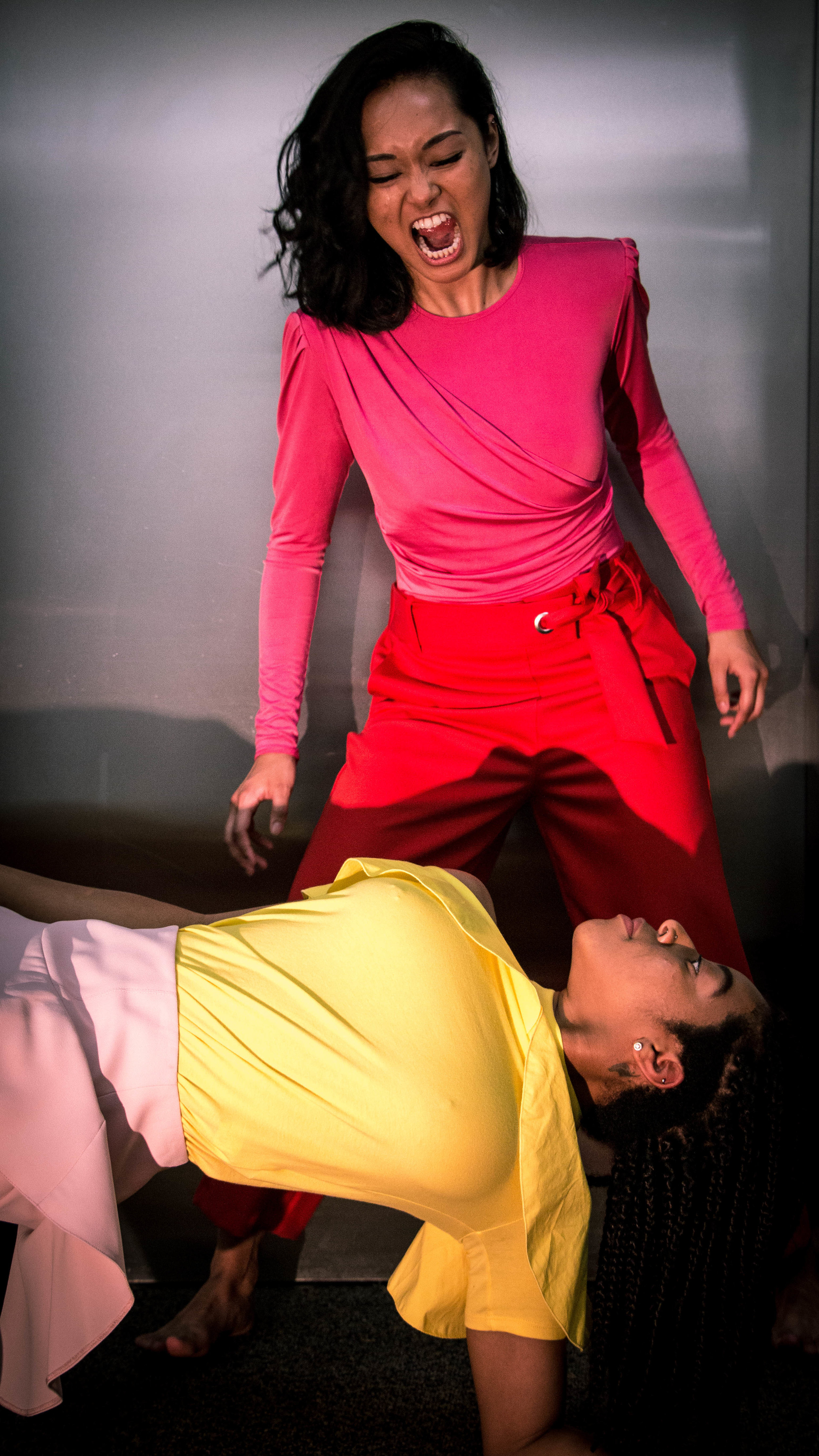 Pink flamingo promotional-2.jpg