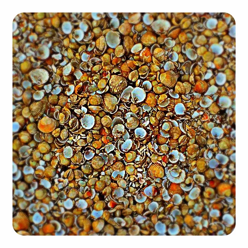 Pebble