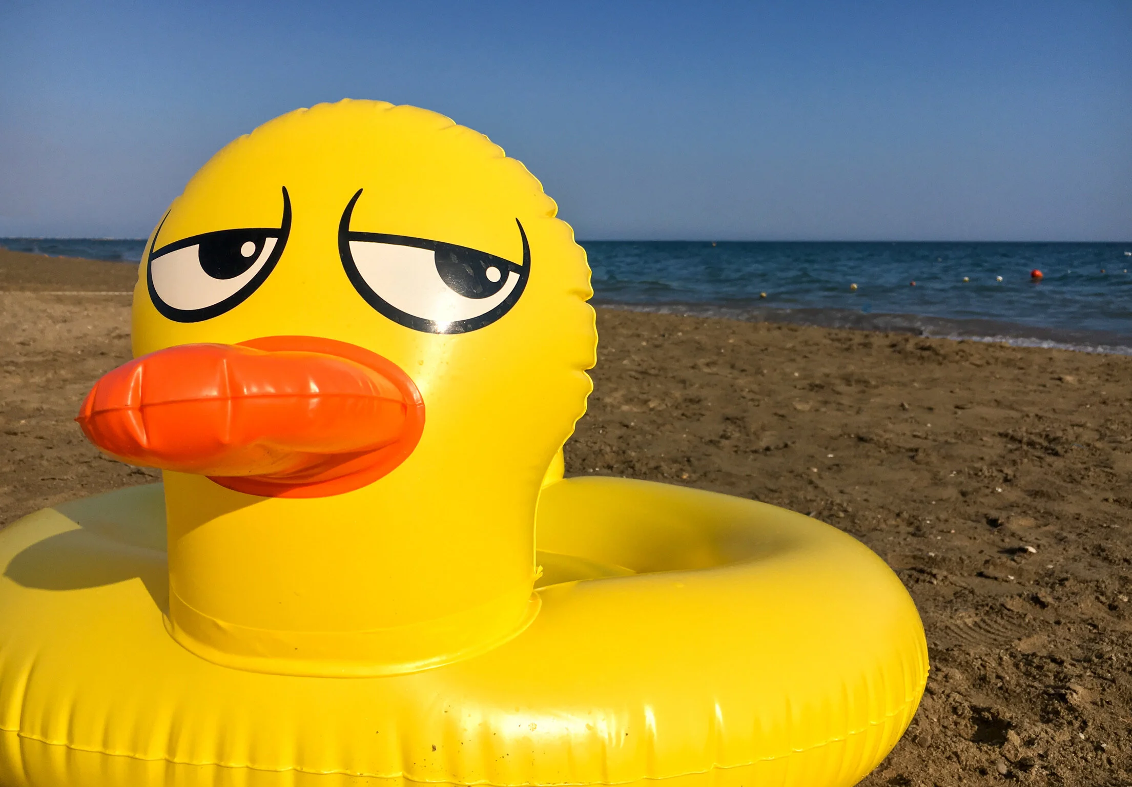 Prompety Prompt: Live