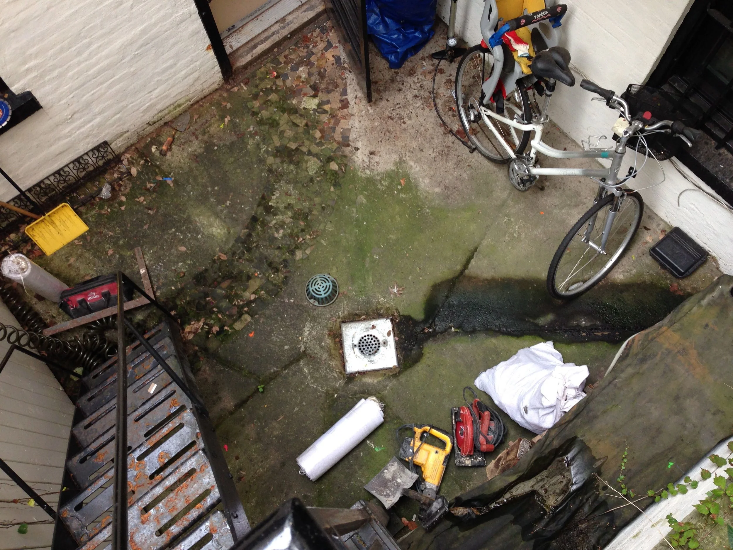 Brooklyn garden before