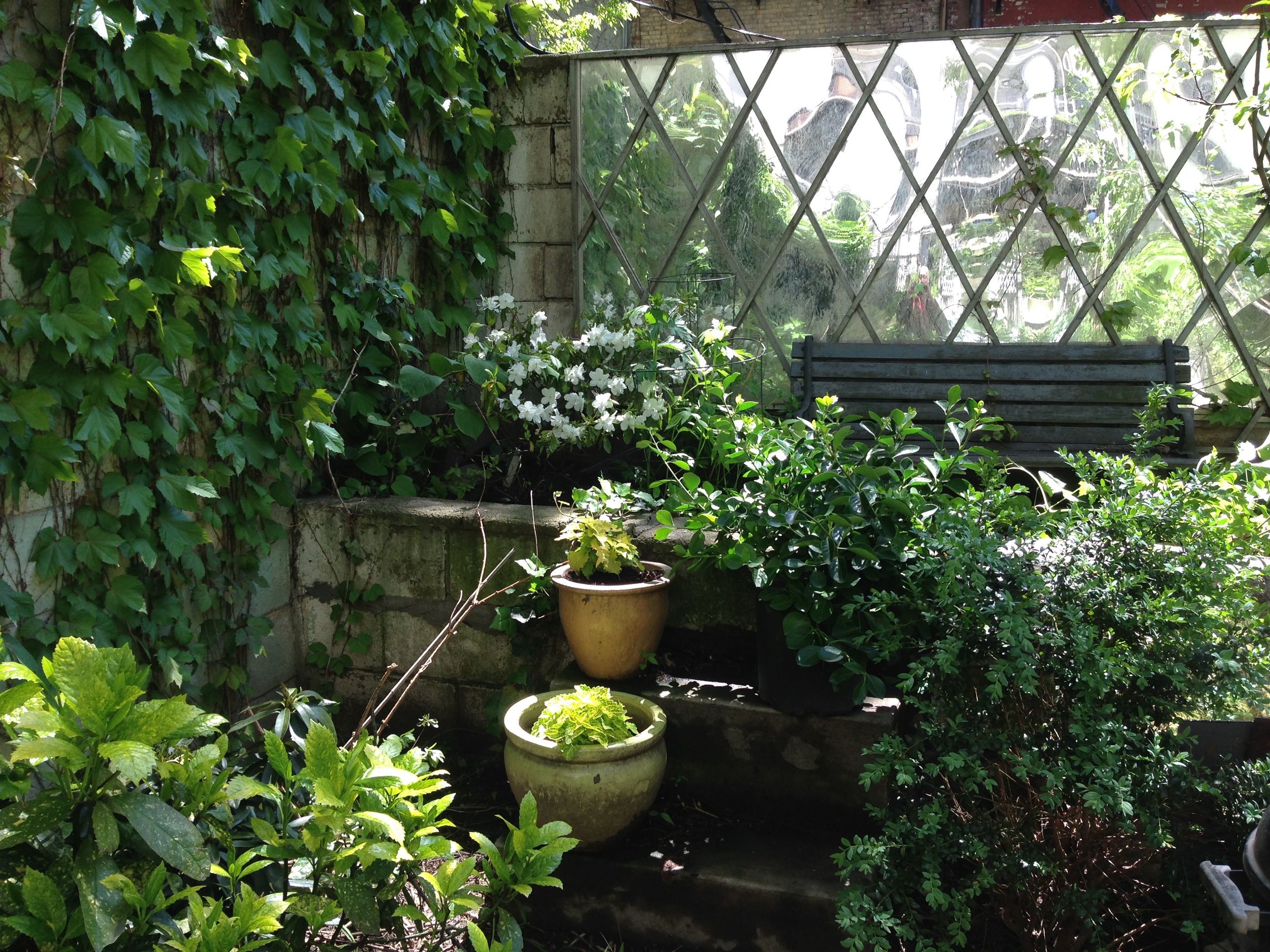 Shade Garden NYC Town House