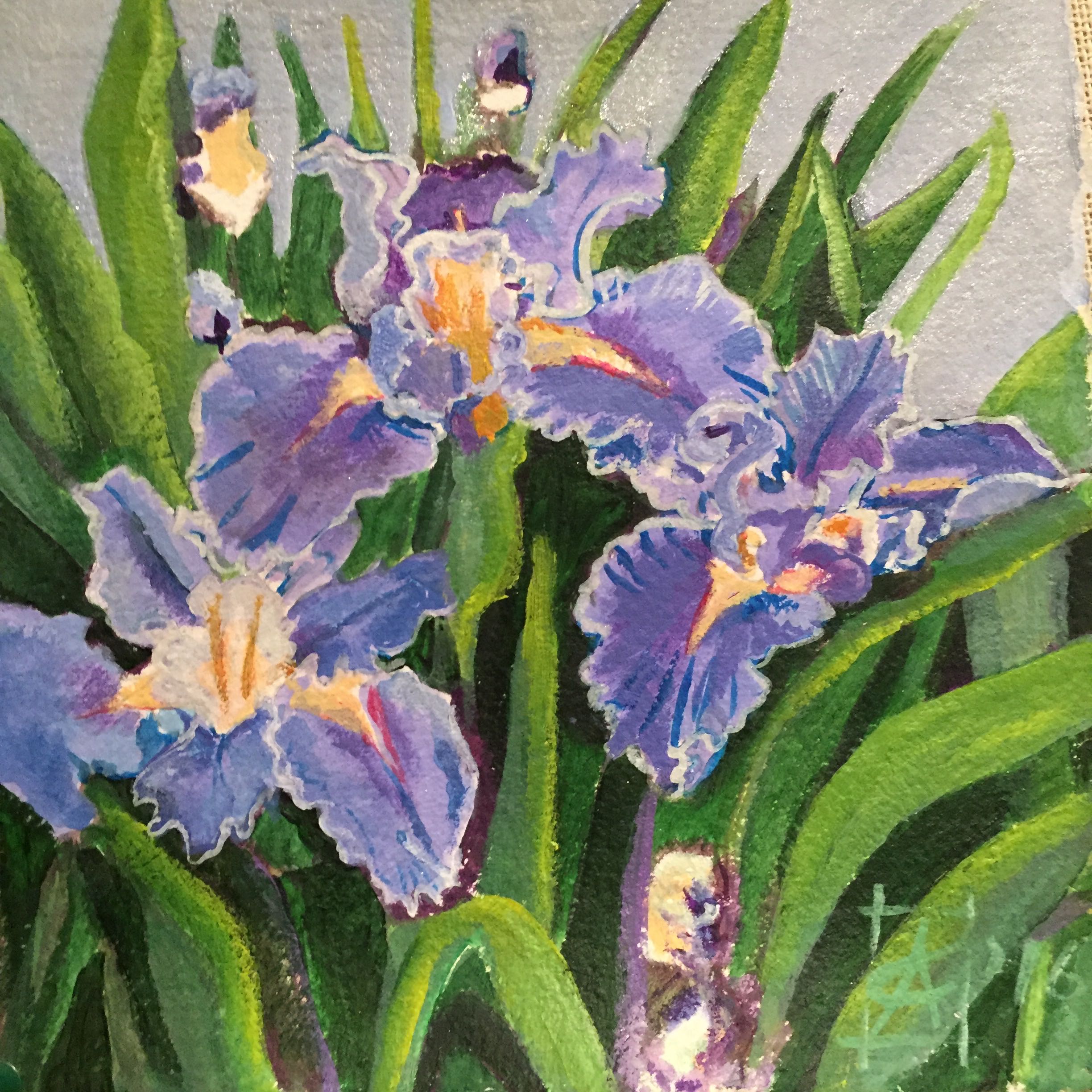 Iris hexagonia 2016 acrylic on paper 10x10"                                  &n…