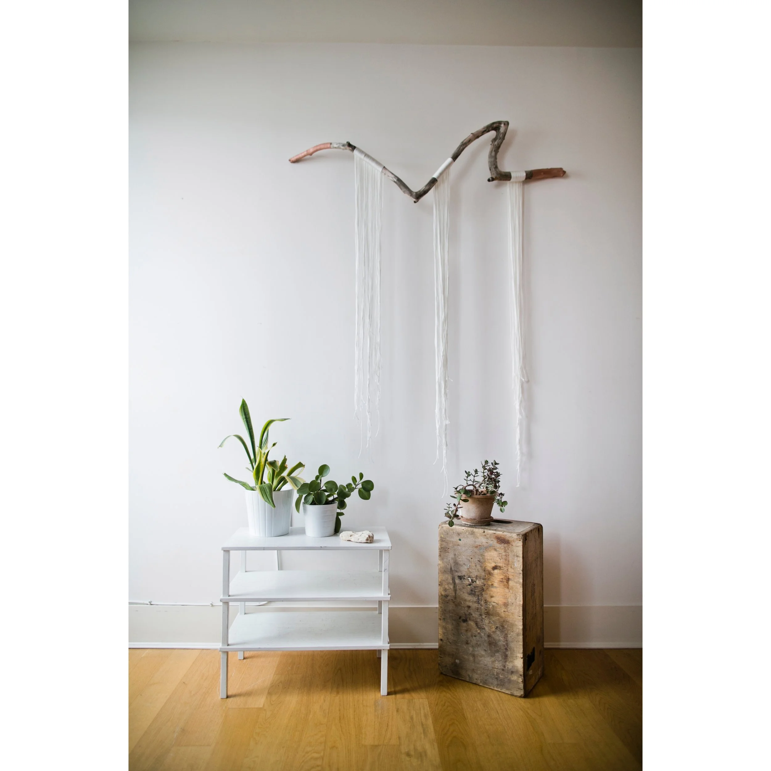 File Aug 29, 2 39 41 PM.jpeg