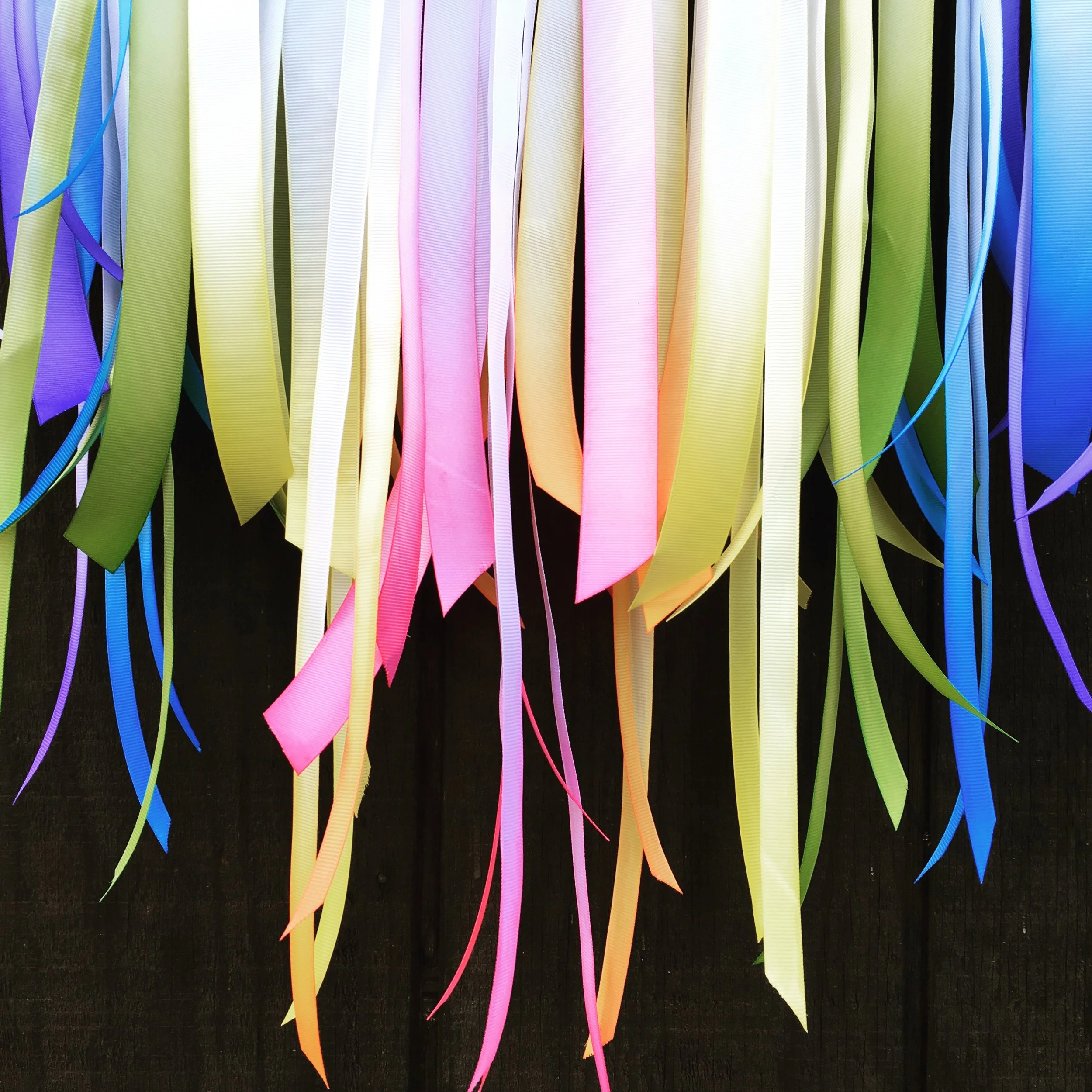 File Feb 22, 3 41 18 PM.jpeg