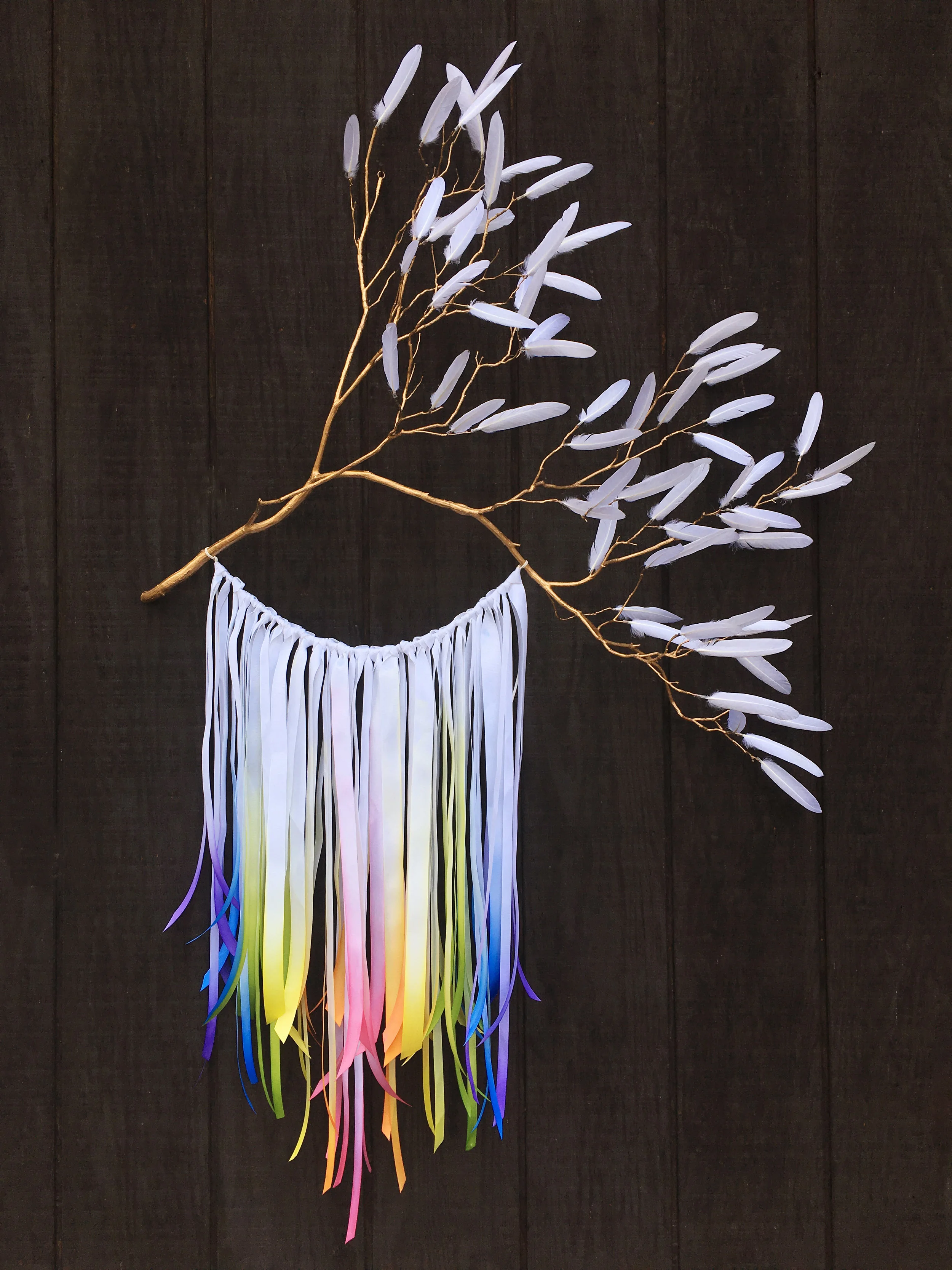 File Feb 22, 3 27 00 PM.jpeg