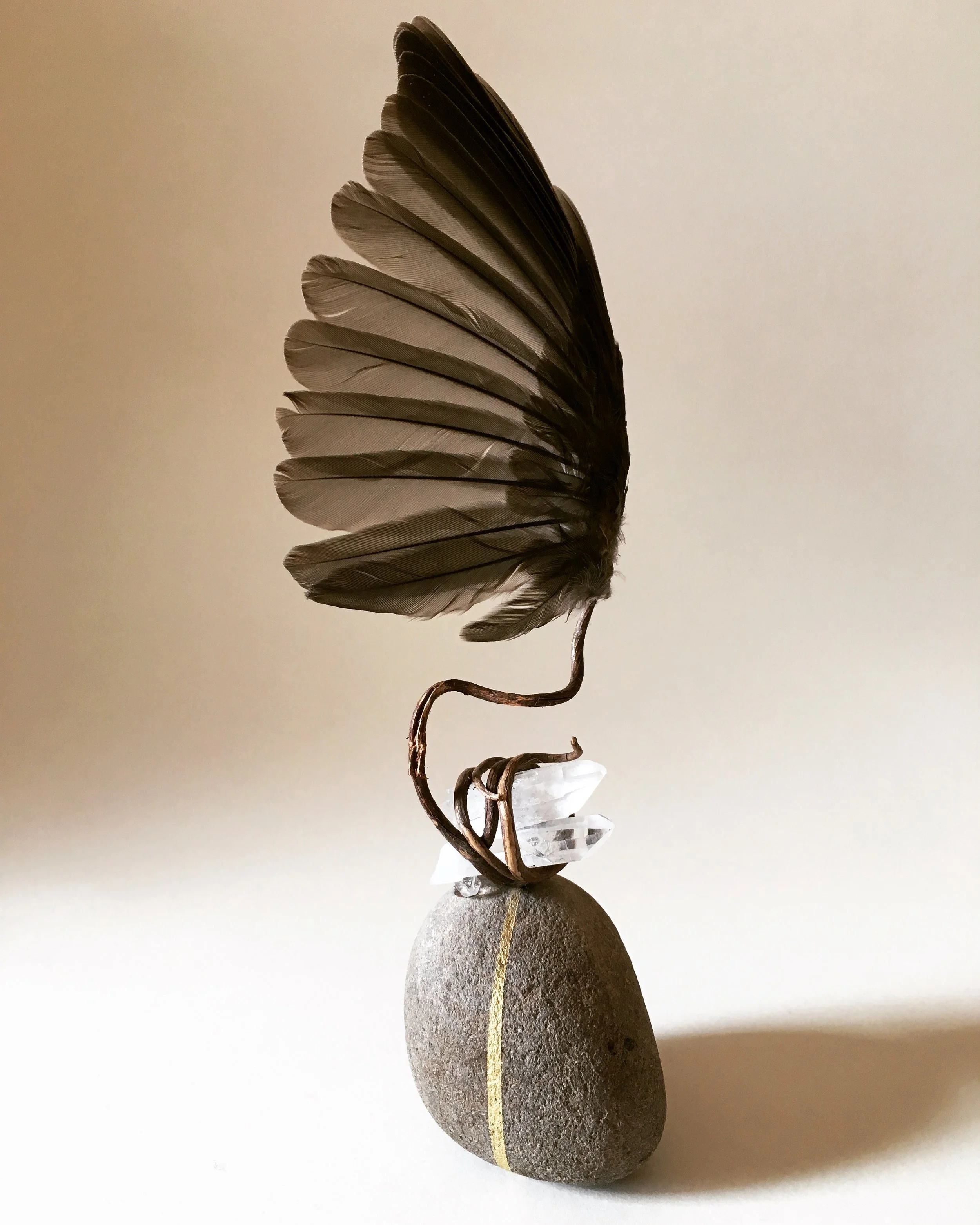 File Apr 19, 4 48 45 PM.jpeg