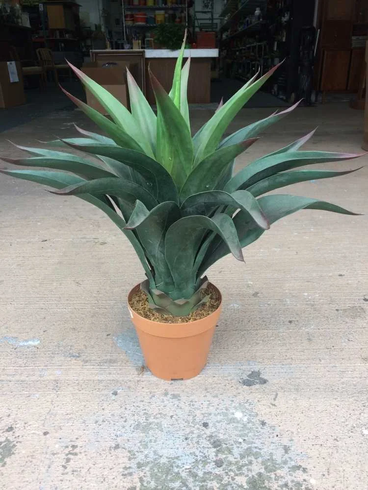 22"