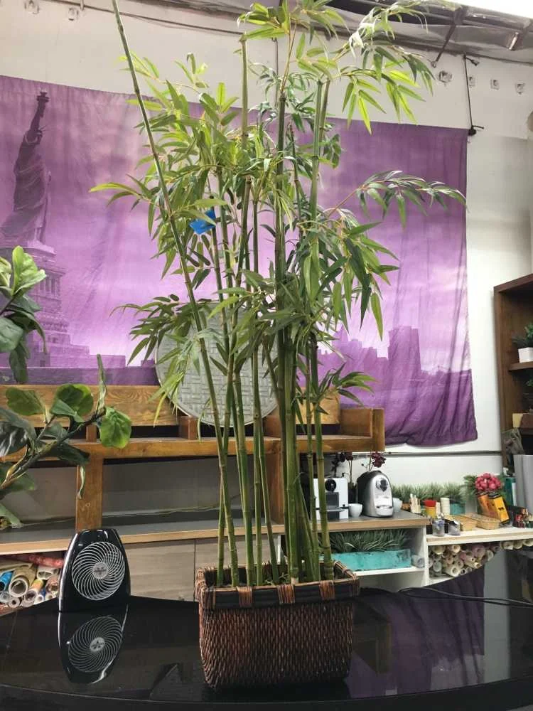 70"