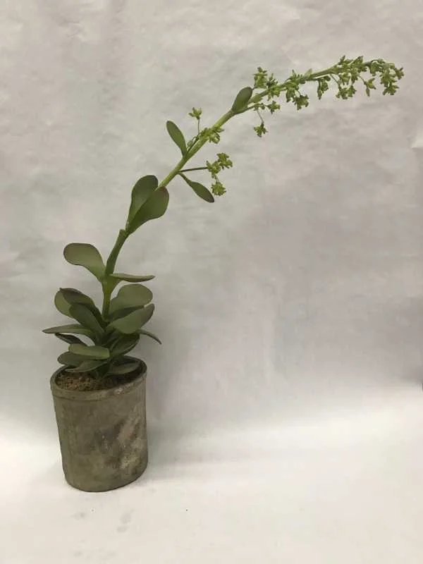 small