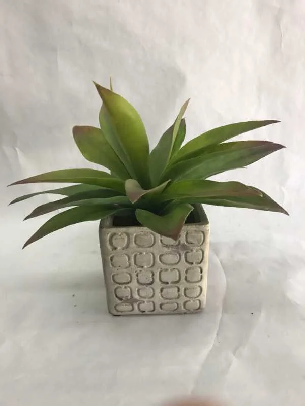 small