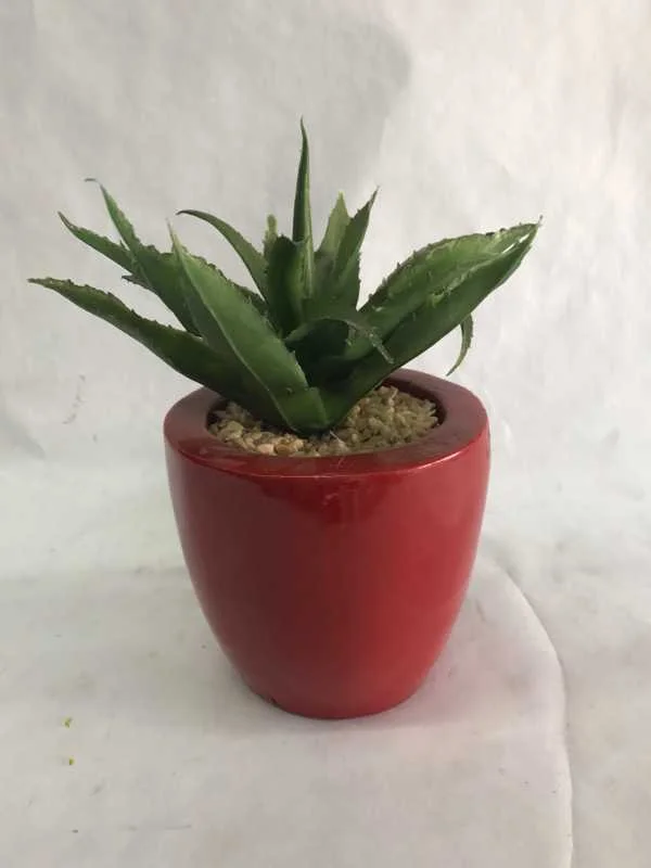 small