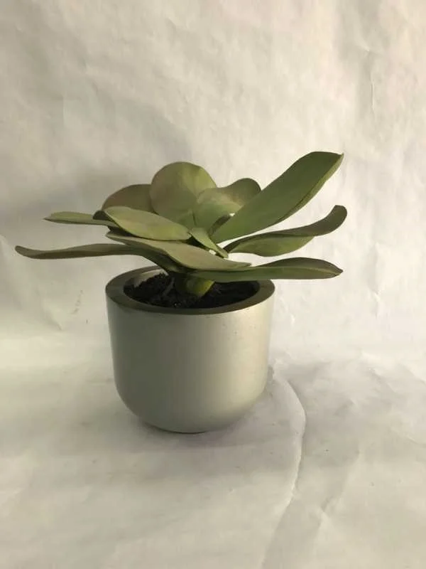 small