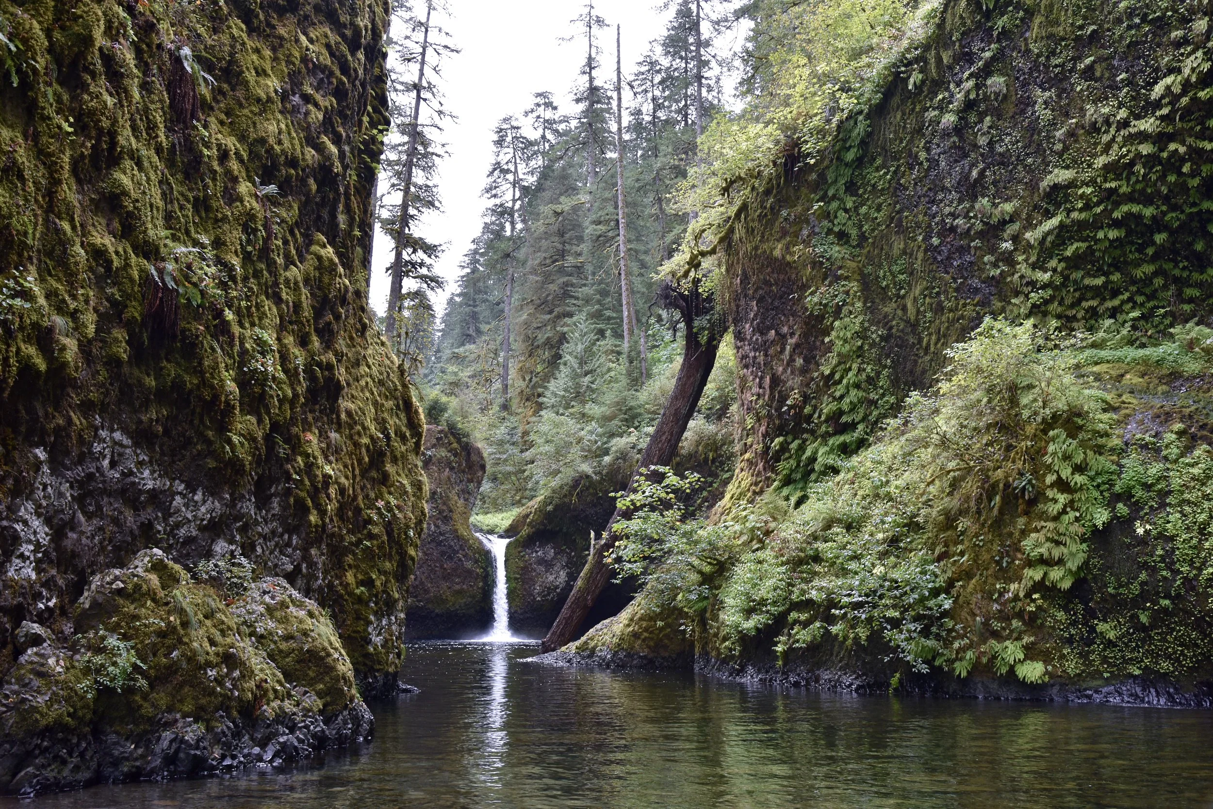 DSC_0362.jpg