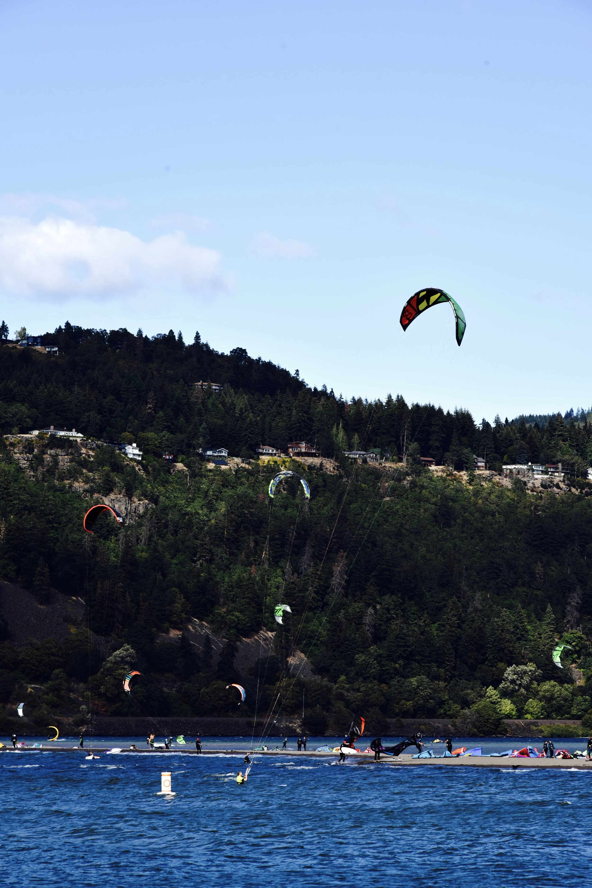 DSC_0603.jpg
