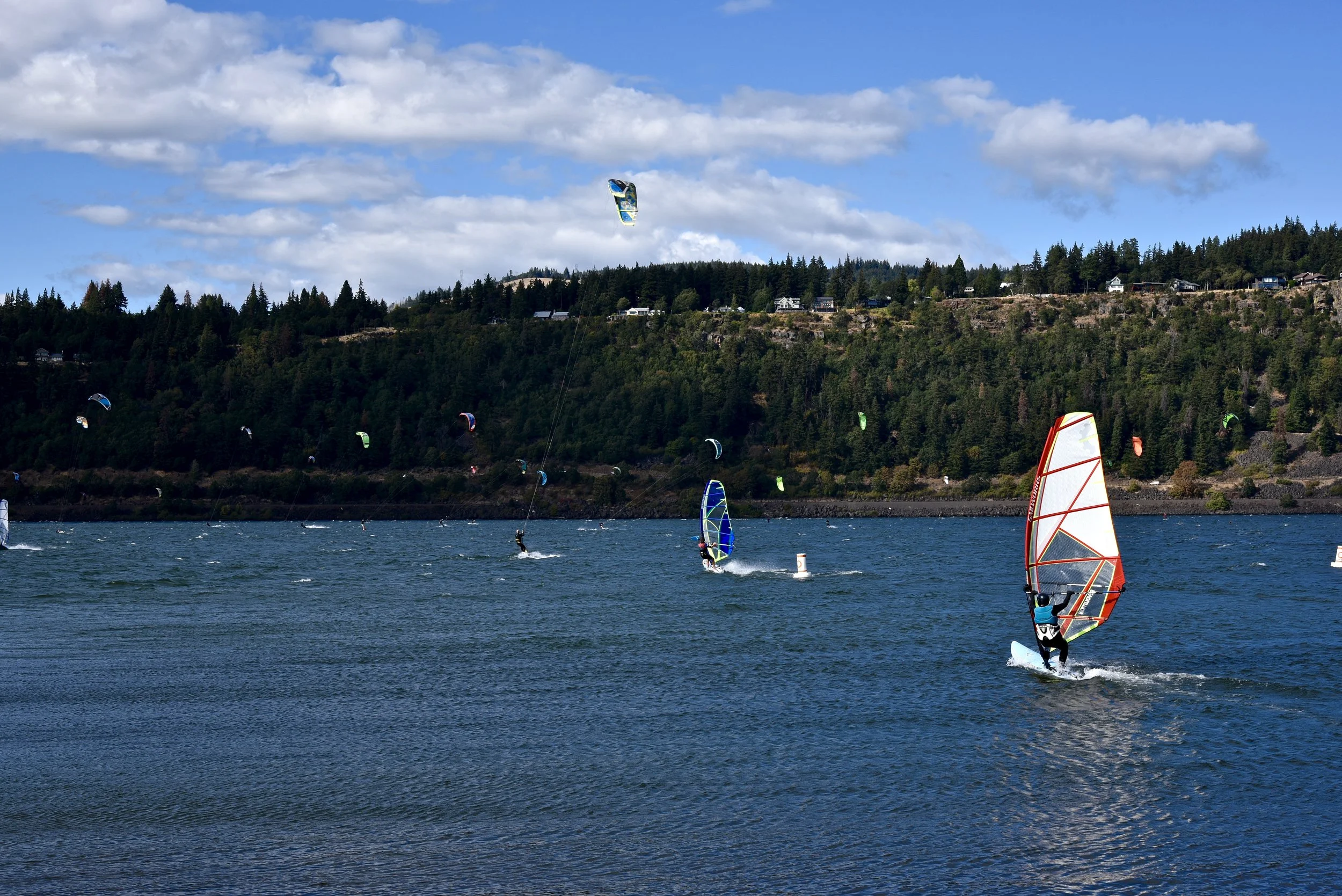 DSC_0694.jpg