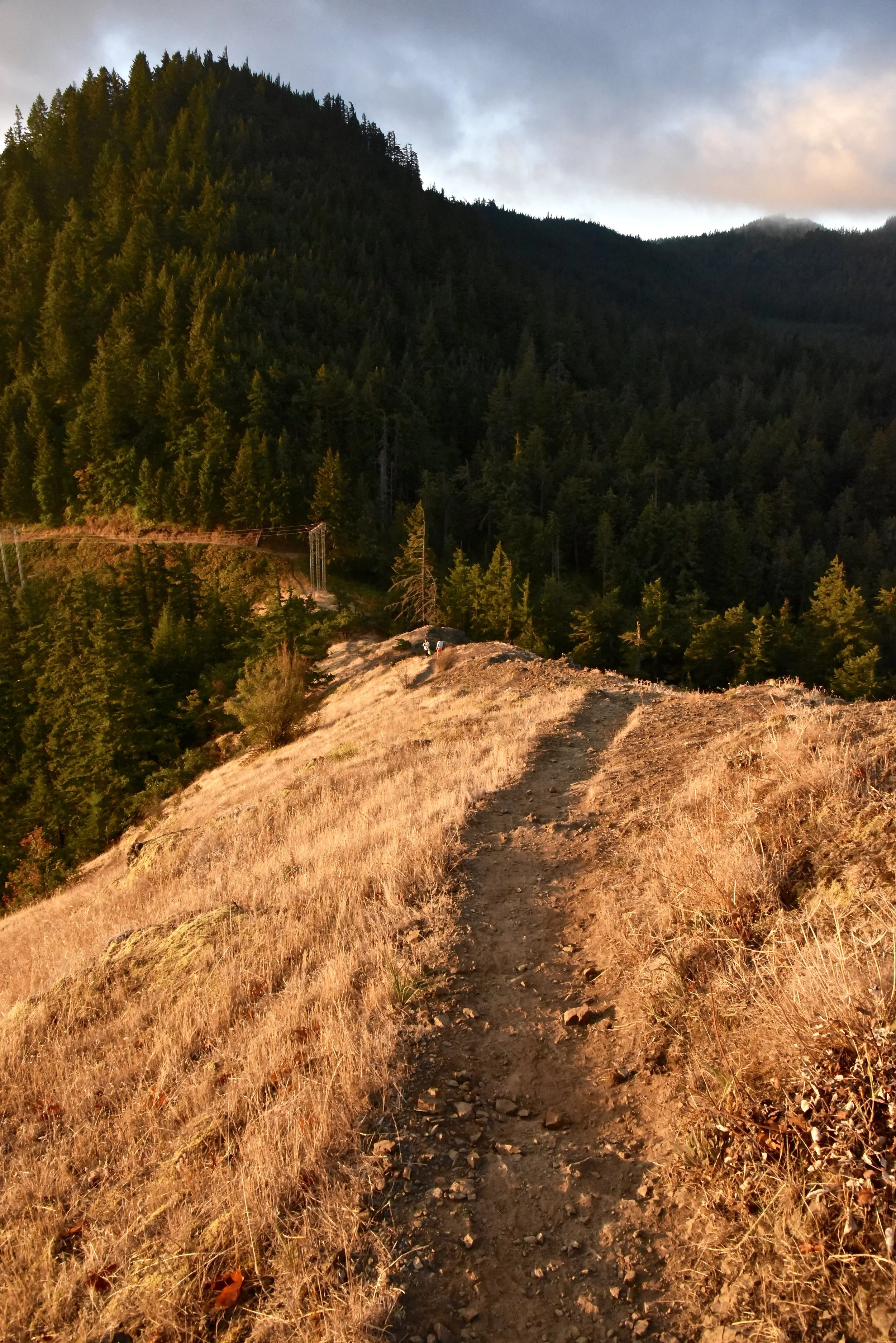 DSC_1178.jpg