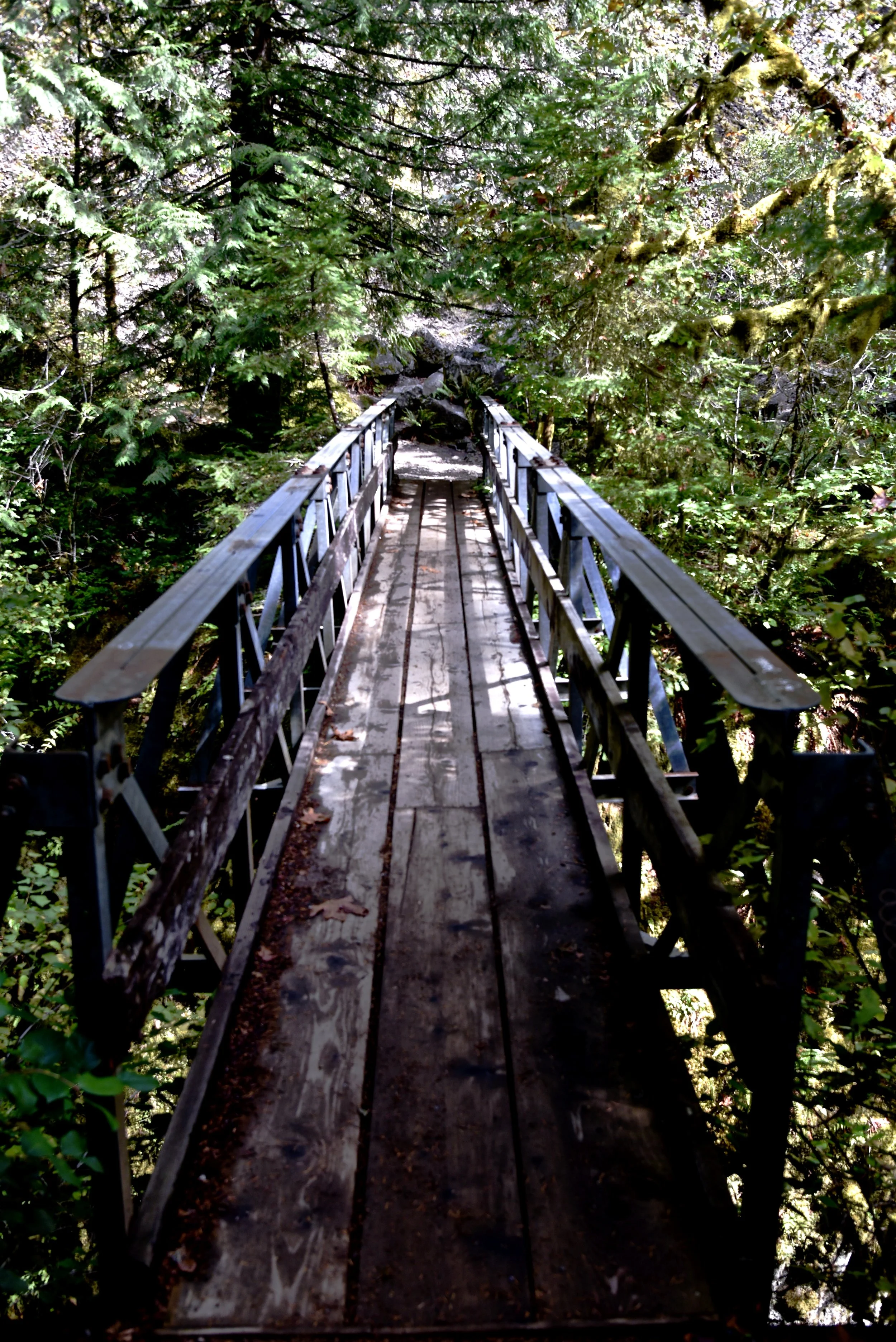 DSC_0500.jpg