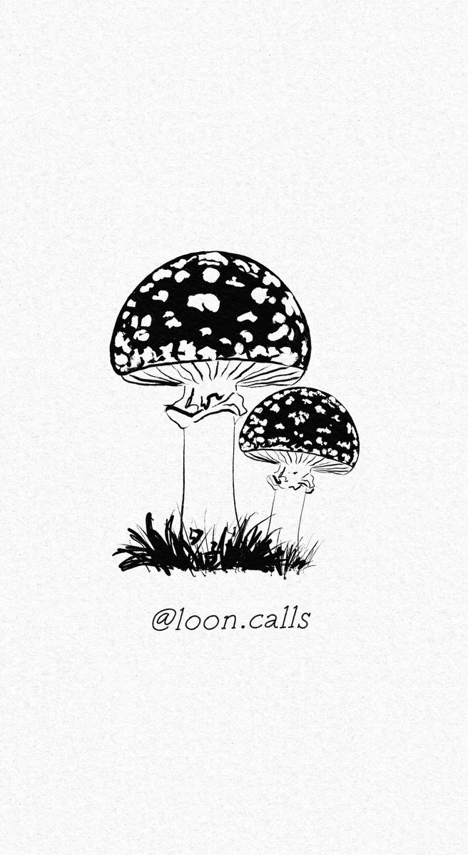 793430BE-9F88-493D-AA8F-FF9D2B887F92_1_105_c.jpeg