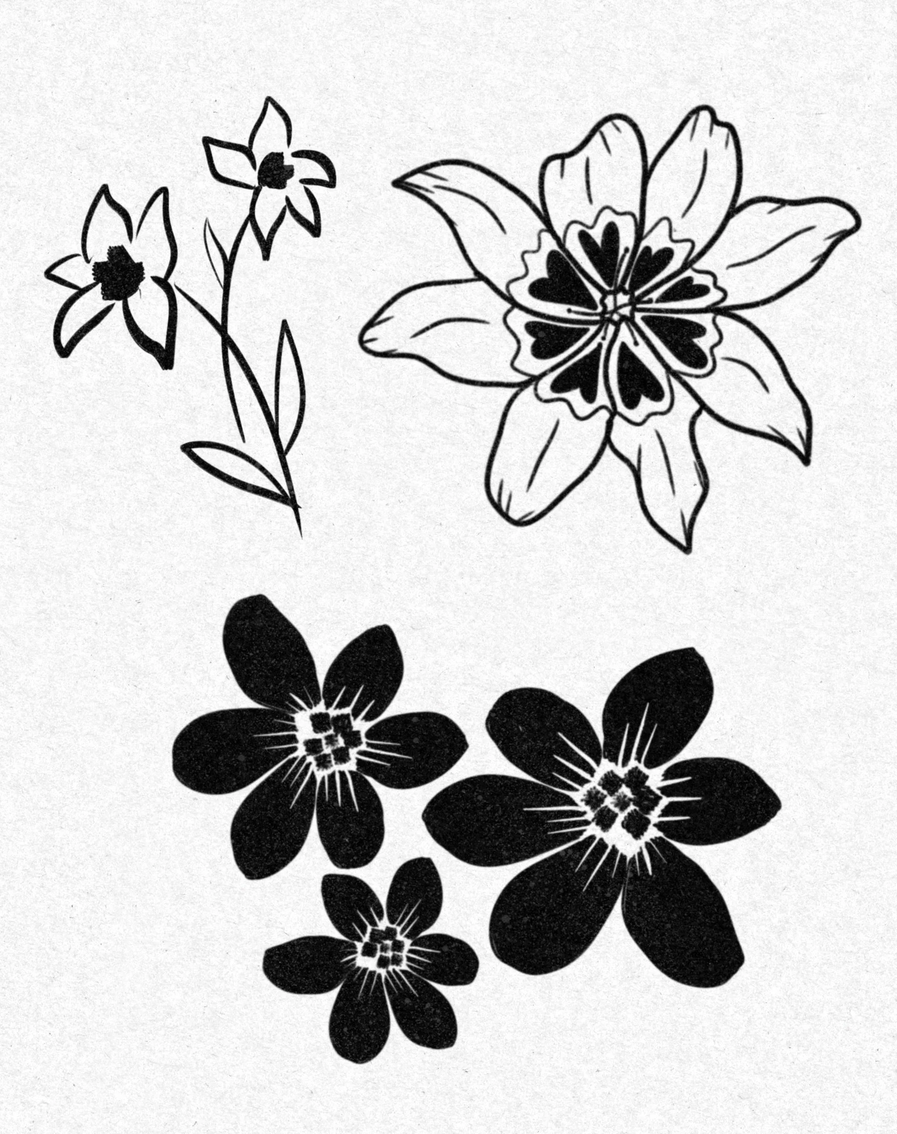 65C6A193-3D69-486E-A681-1C19D74C1504_1_201_a.jpeg