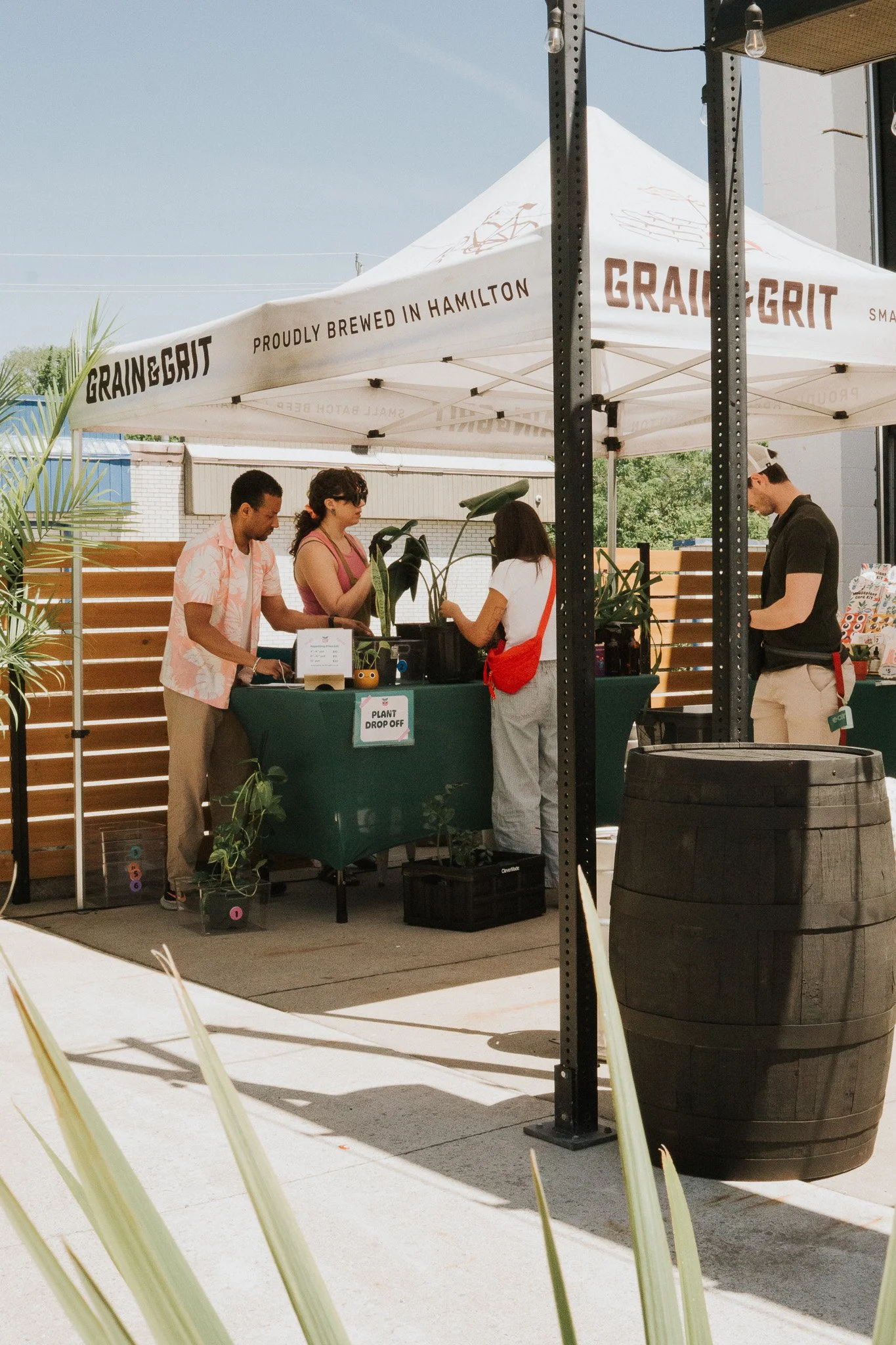 Pints &amp; Plants: Houseplant Repotting Pop-up