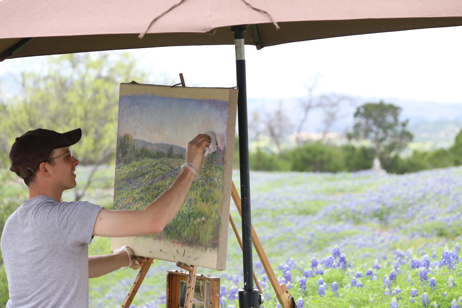 Texas Wildflower Timelapse