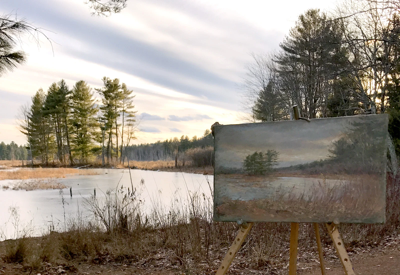  My Painting Fell In The Lake... And Diana Laughed :-)