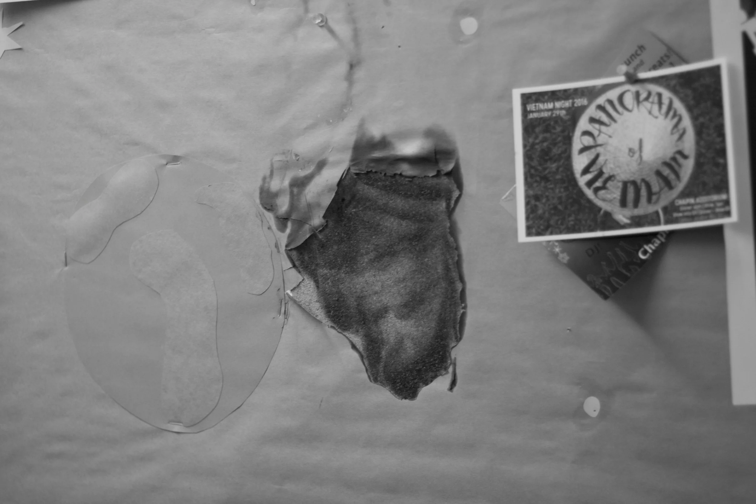 Photo by Alicia Winokur '16 A poster attached to a cork board in Ham Hall was set ablaze late Tuesday night or early Wednesday morning. 