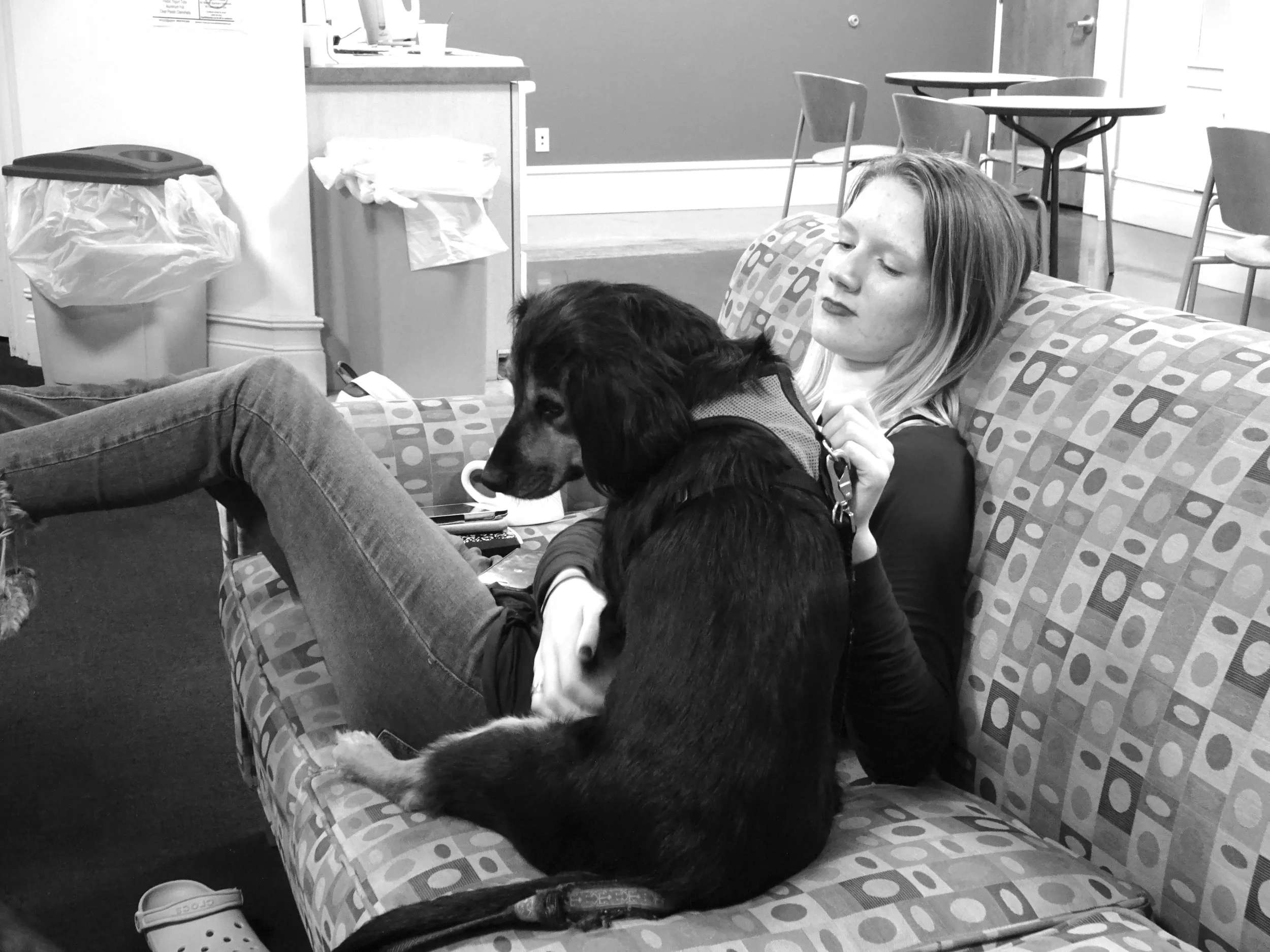 Photo by Shiloh Frederick ’17 Georgie Hoffman ’17 seeks comfort from Walter, Ella Sevier’s emotional support dog, while watching election results in the Porter common room.