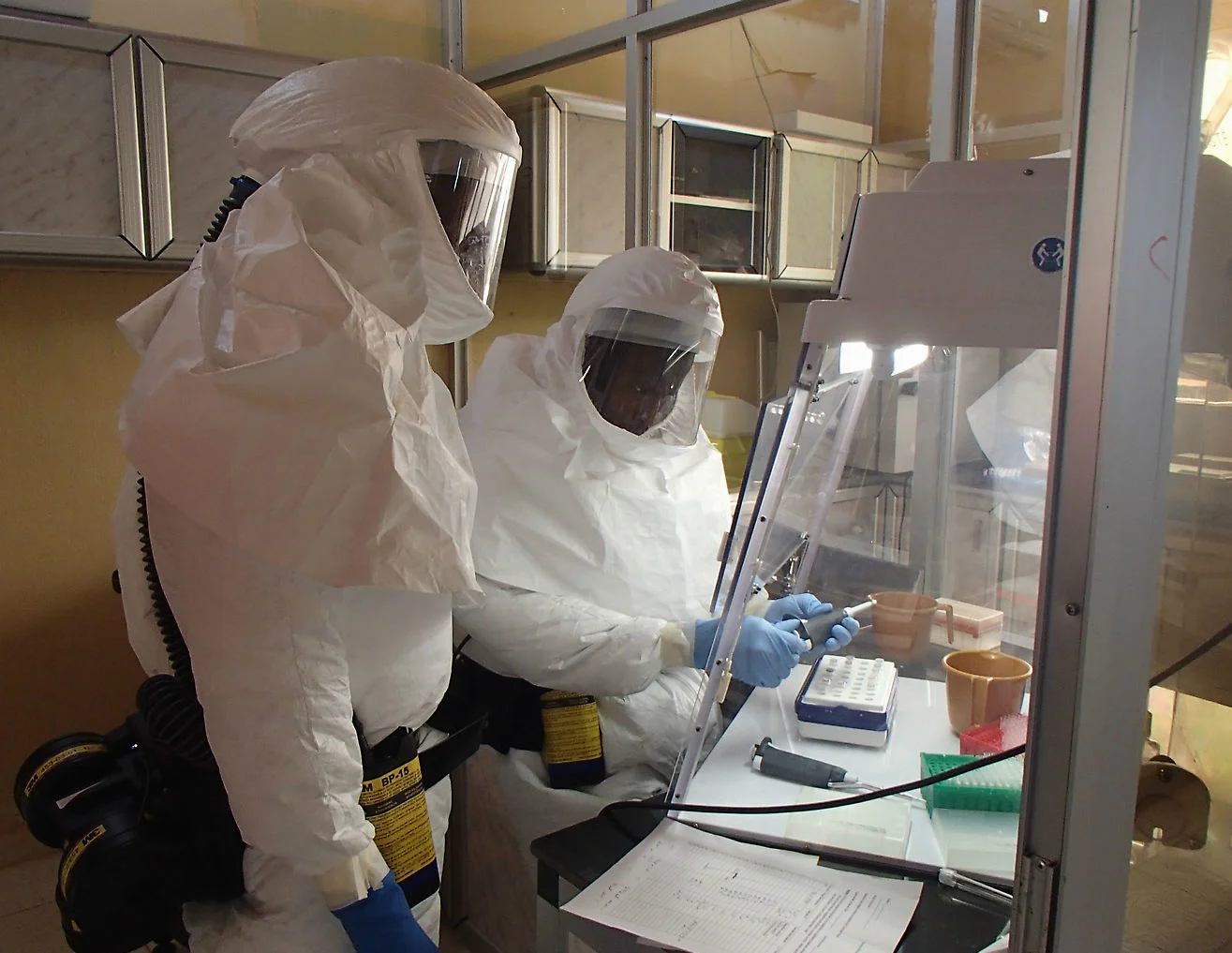 Photo courtesy of Wikimedia CommonsFrom 2014–2016 the Ebola virus caused a devastating pandemic that killed many people throughout West Africa.