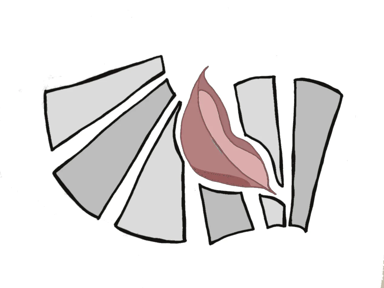 Internat’l students tackle language barriers