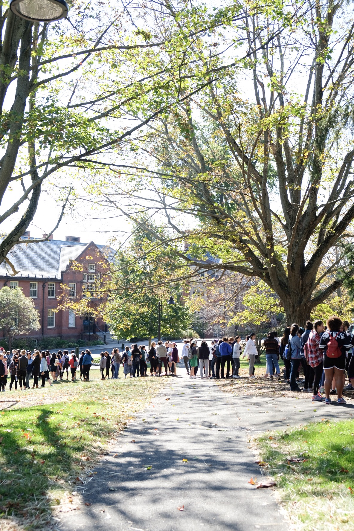  Photo by Li Qin ’21  Students stood in line for the shuttle near Blanch.&nbsp; 