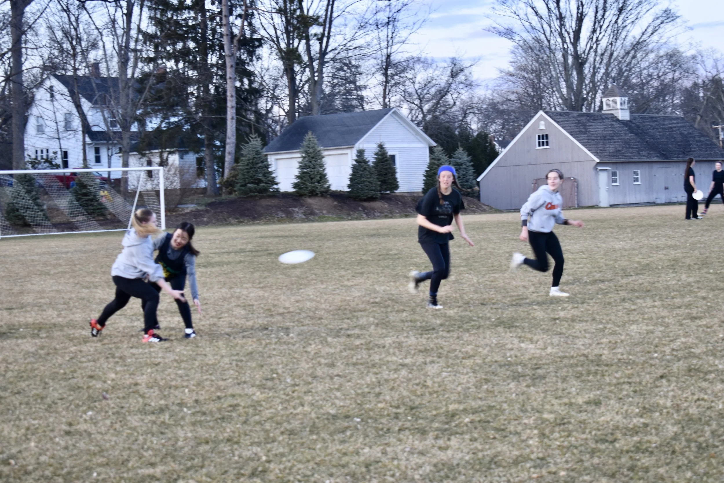 Daisy Chain ranks third in division III ultimate
