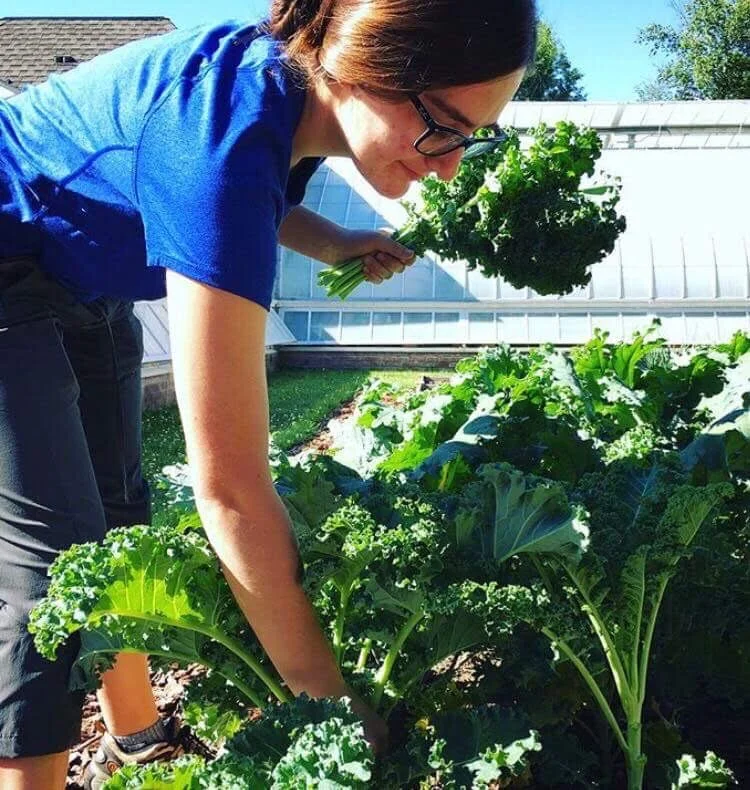 Photo courtesy of Talia Michaud ’20 Talia Michaud ’20 tending to plants during an internship at the Mount Holyoke College Botanical Gardens.