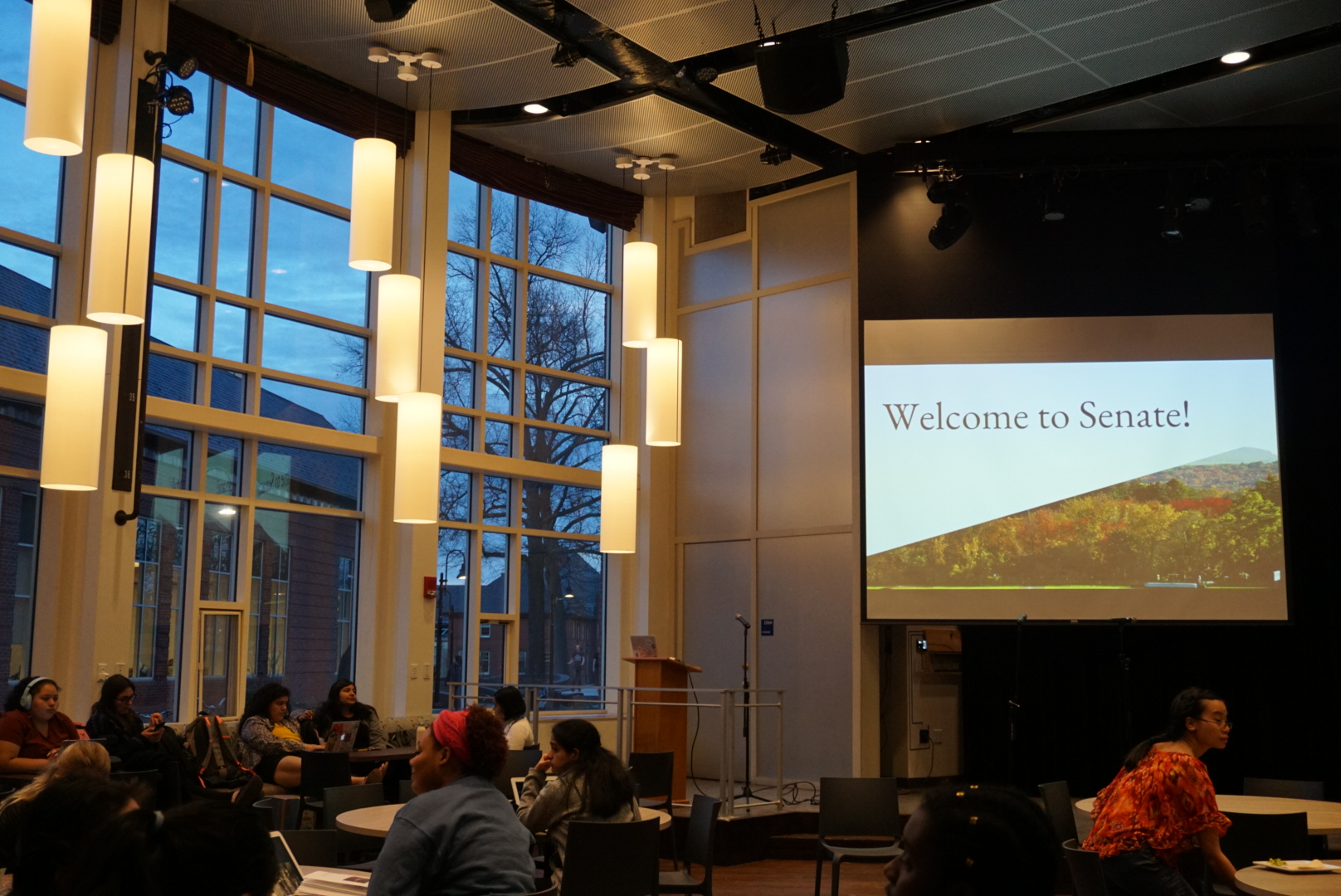 Senate discusses 2019-20 budget, second wave of SGA voting 