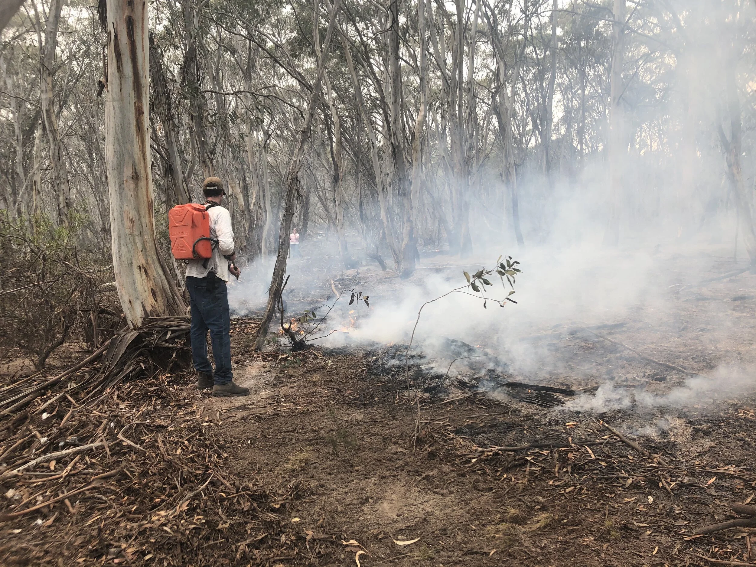 Bushfires in Australia devastate 46 million acres