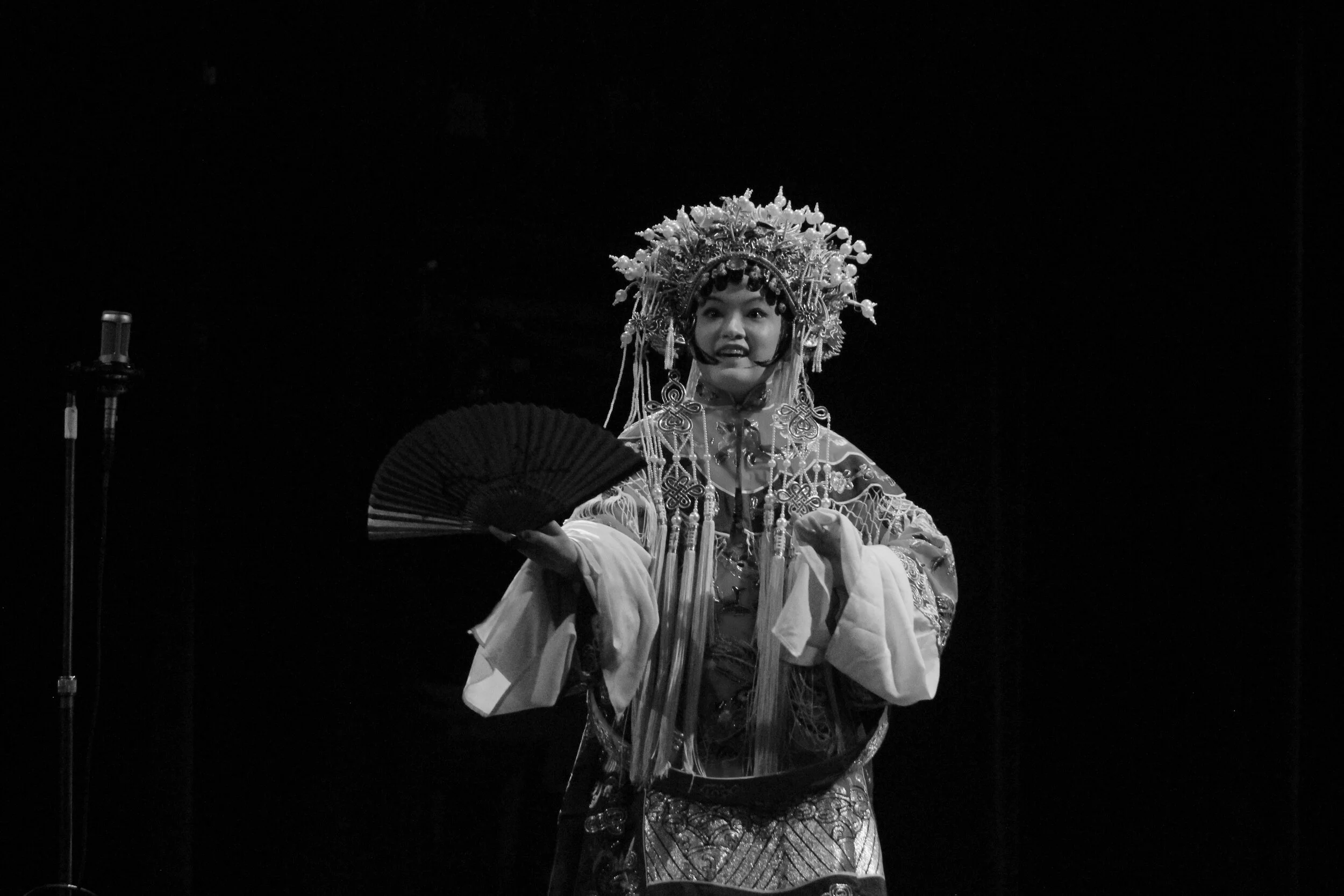 Annual “China Night” show brings culture, food and dance to campus through Chinese Cultural Association