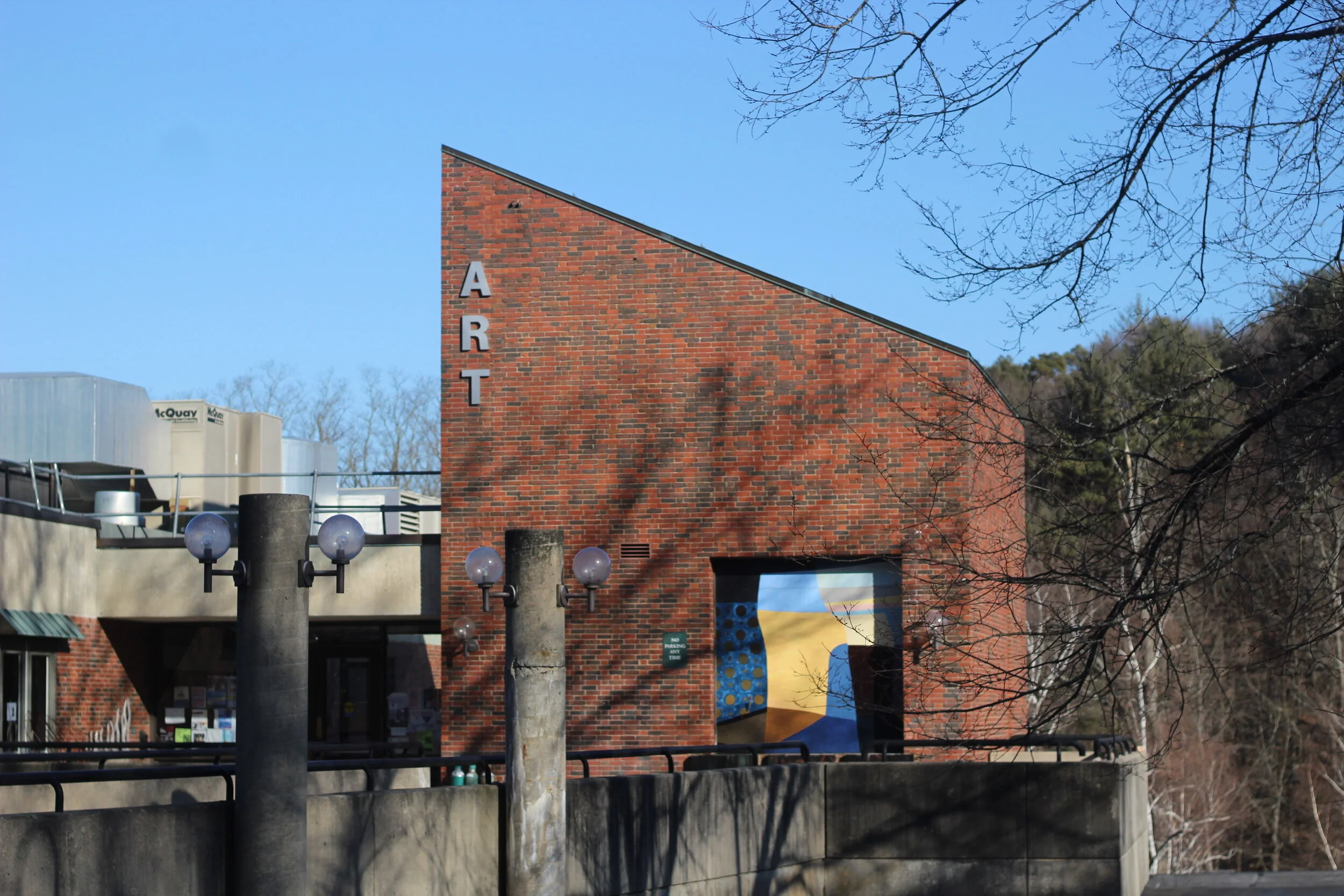 Professor of Art Rie Hachiyanagi held without bail, awaiting trial