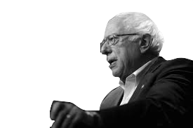 Bernie Sanders - Vikipedi