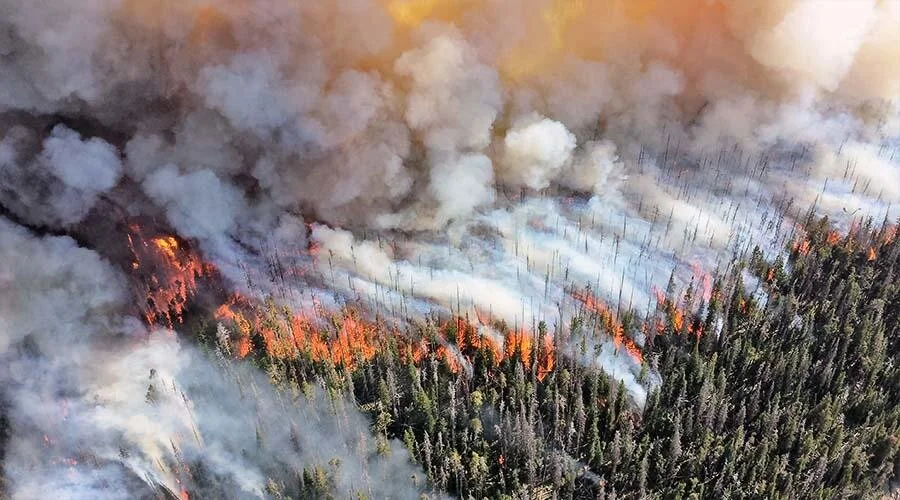 Google launches new wildfire mapping feature