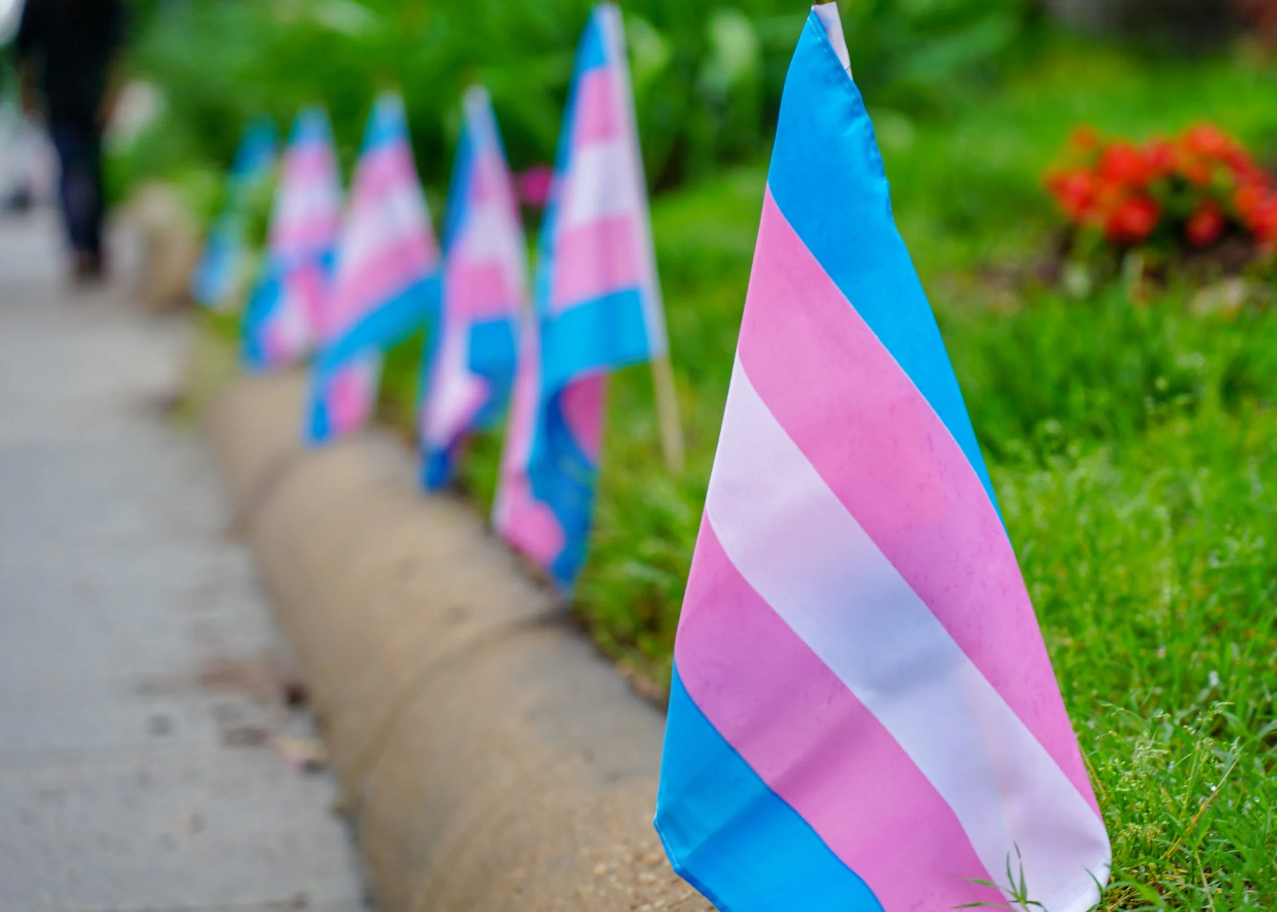 Texas House passes bill banning K-12 transgender student-athletes