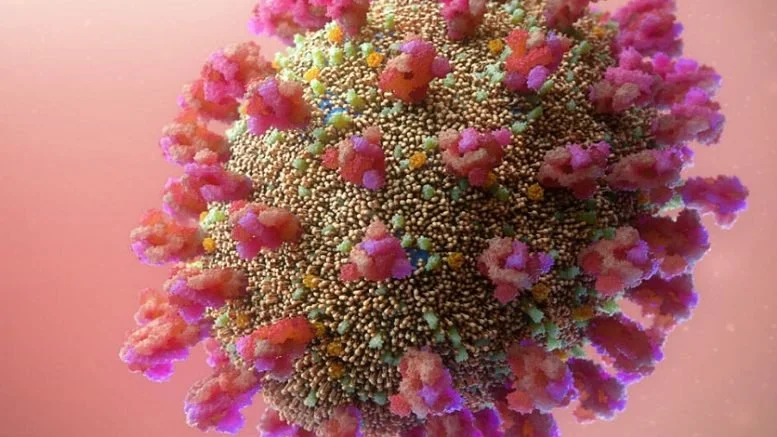 A new coronavirus variant, Omicron, leads travel restrictions 