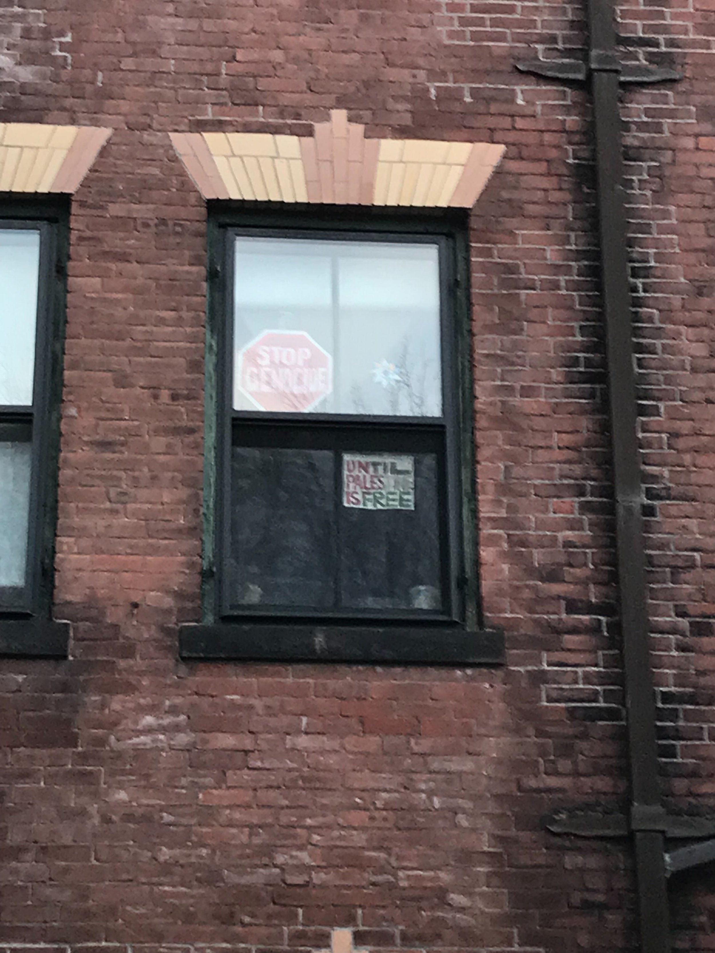 FEATURES_ two handmade signs in a Persons window saying _stop genocide_ and _until palestine is free_ by Betty Smart '26 (1).jpg