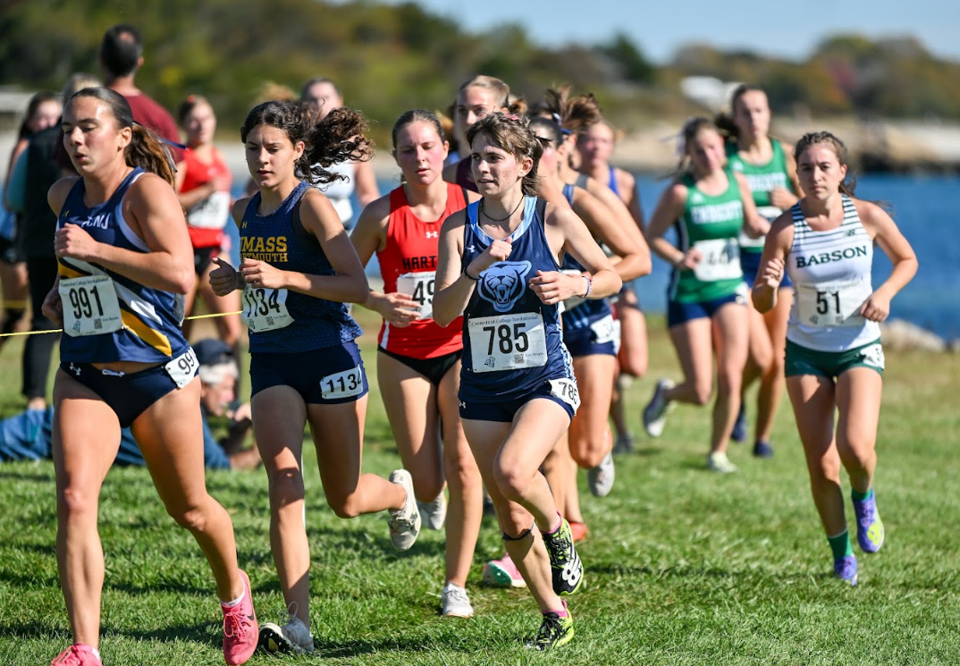 Screenshot 2026-01-31 174814.png