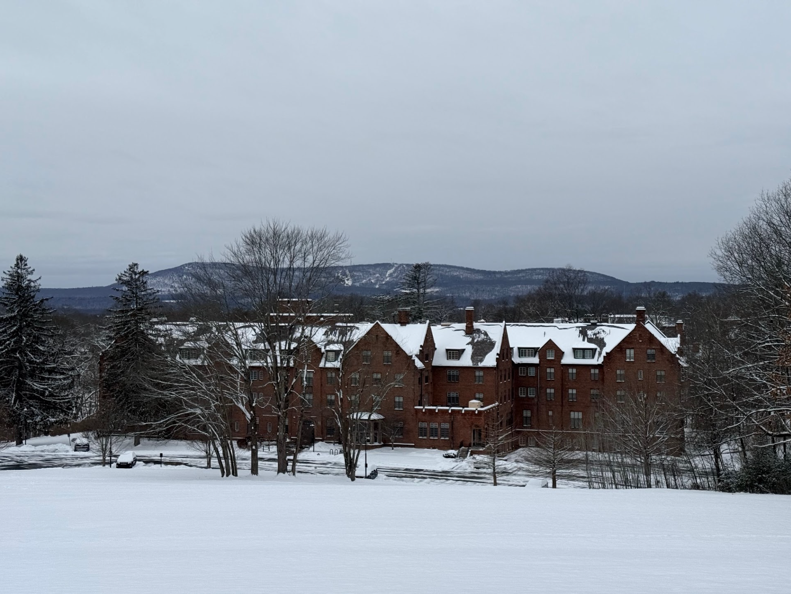 Screenshot 2026-02-17 at 2.47.05 PM.png