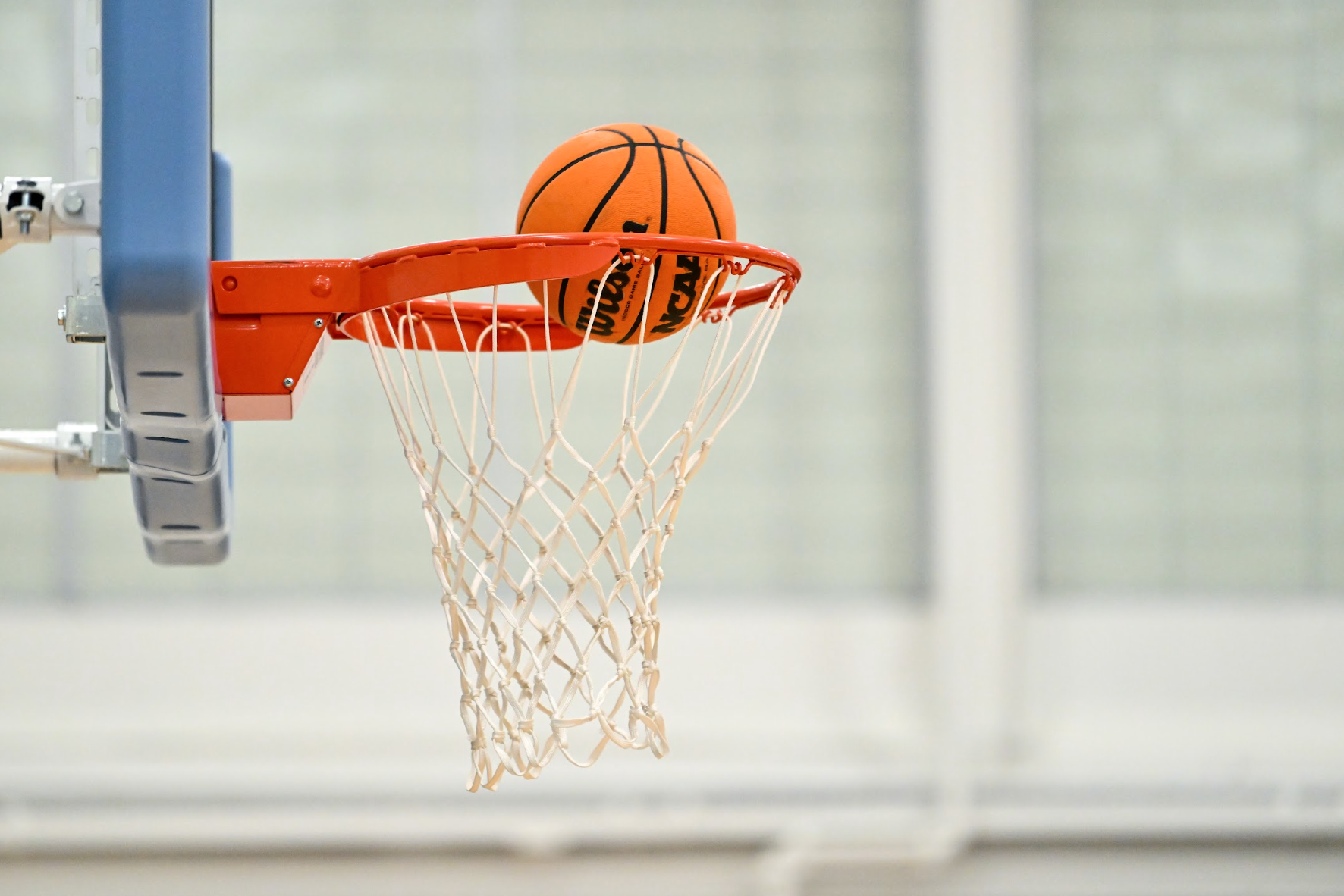 Screenshot 2026-02-17 at 3.13.14 PM.png