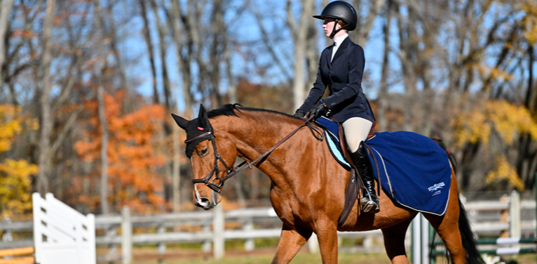 Screenshot 2026-02-05 162752.png