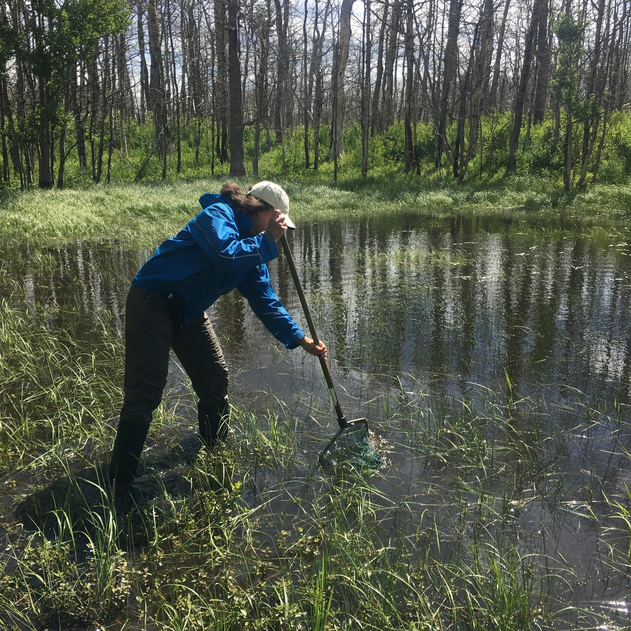 fieldphoto.jpg