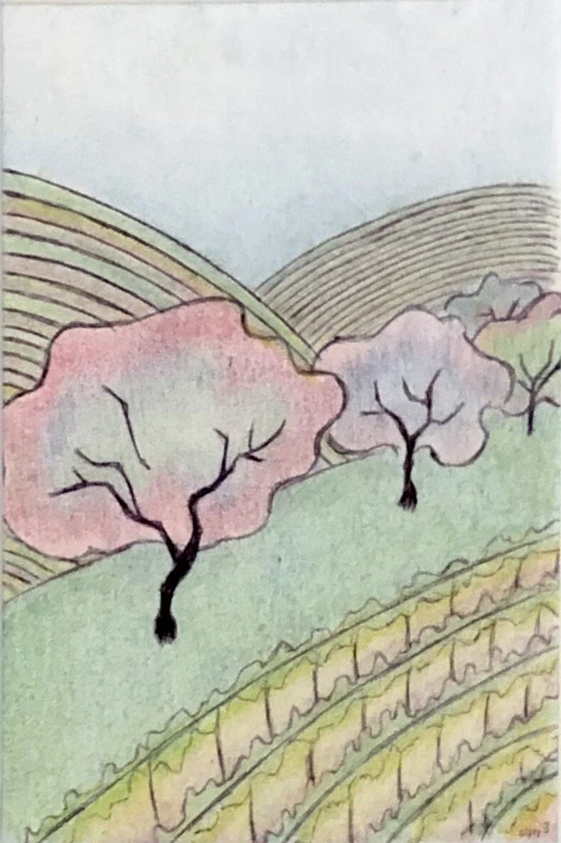 Orchard and Vineyard