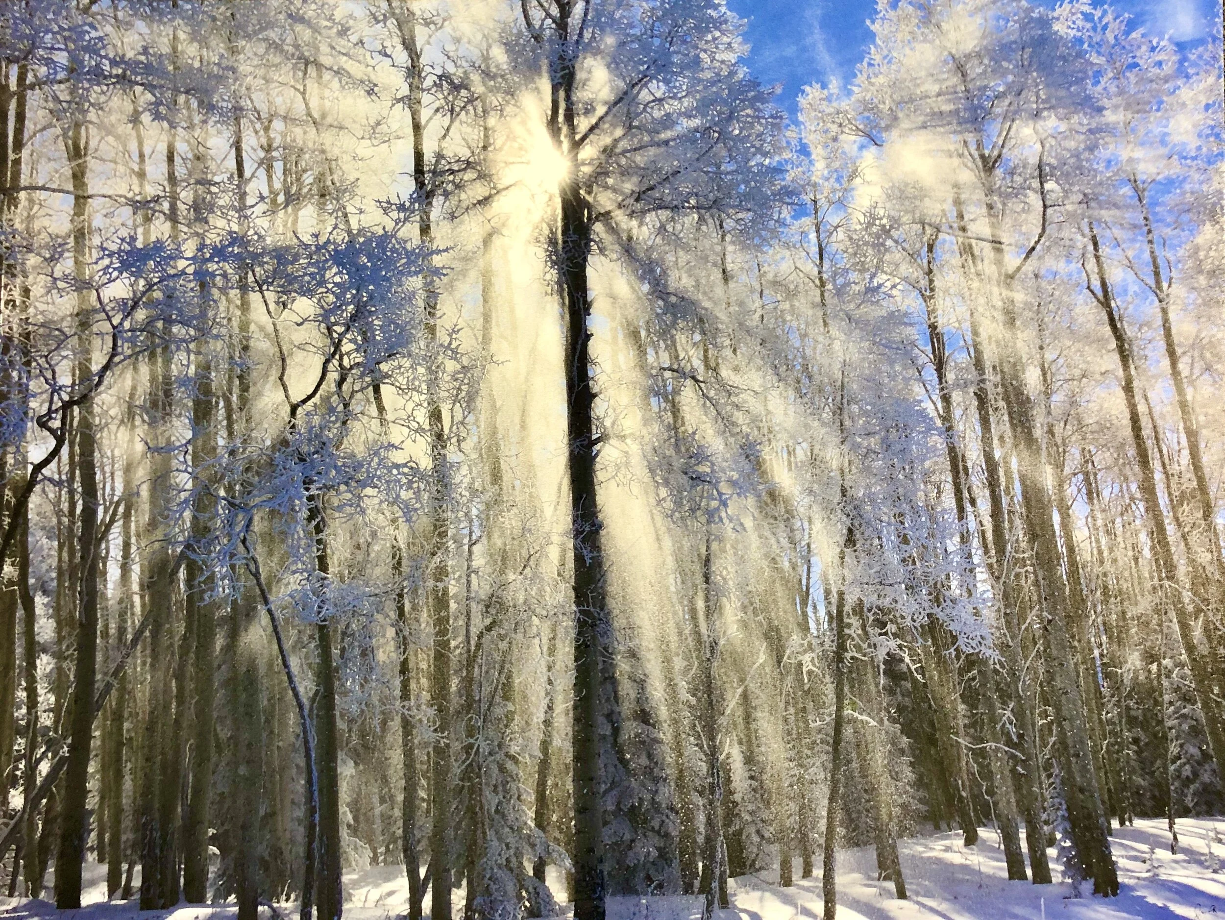 Winter at Powderhorn